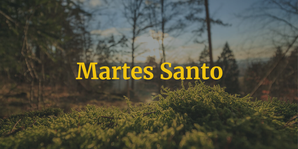 Procesiones Martes Santo Zamora 2024